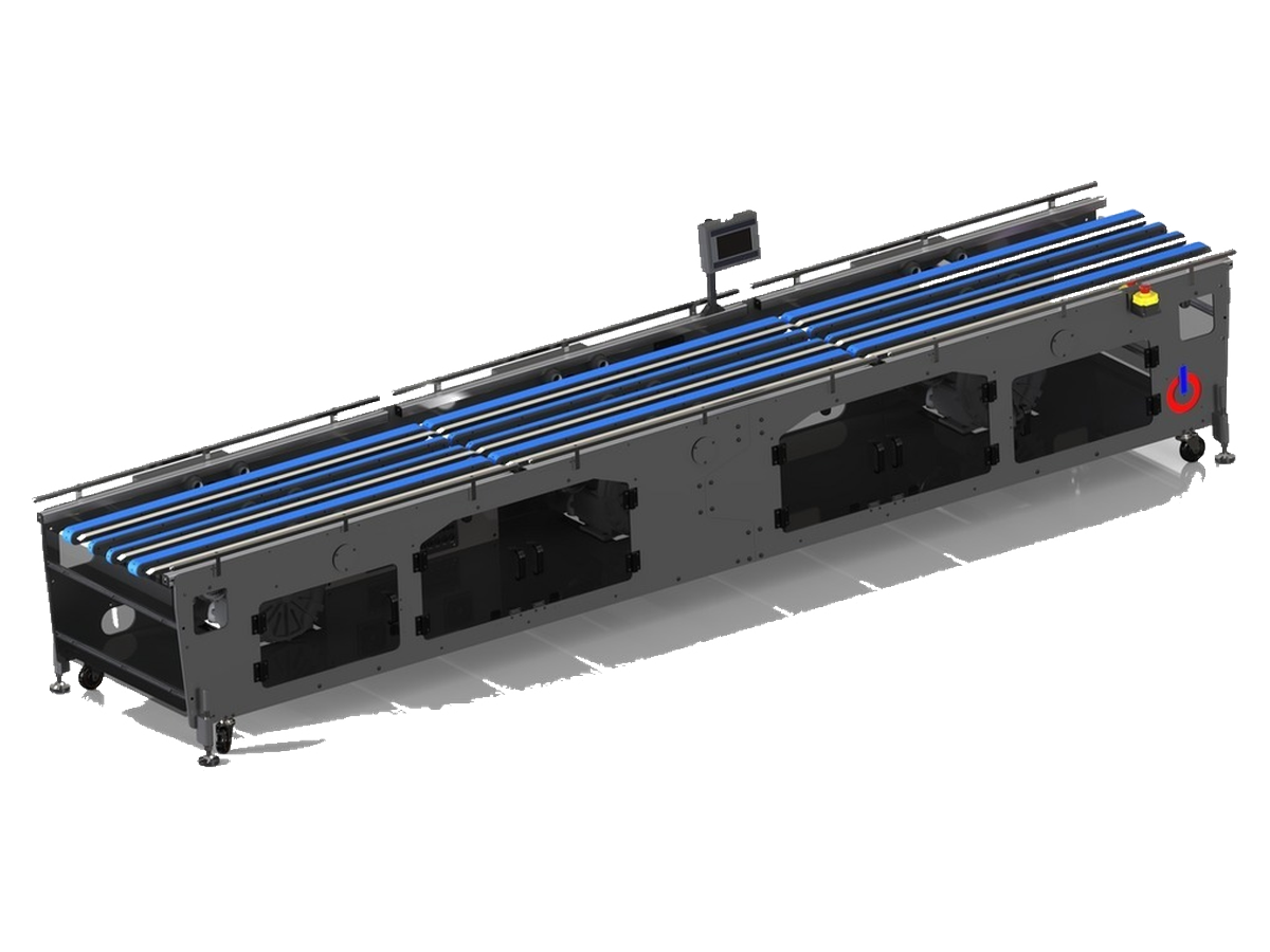 Vacuum transport conveyor with modular belt sections