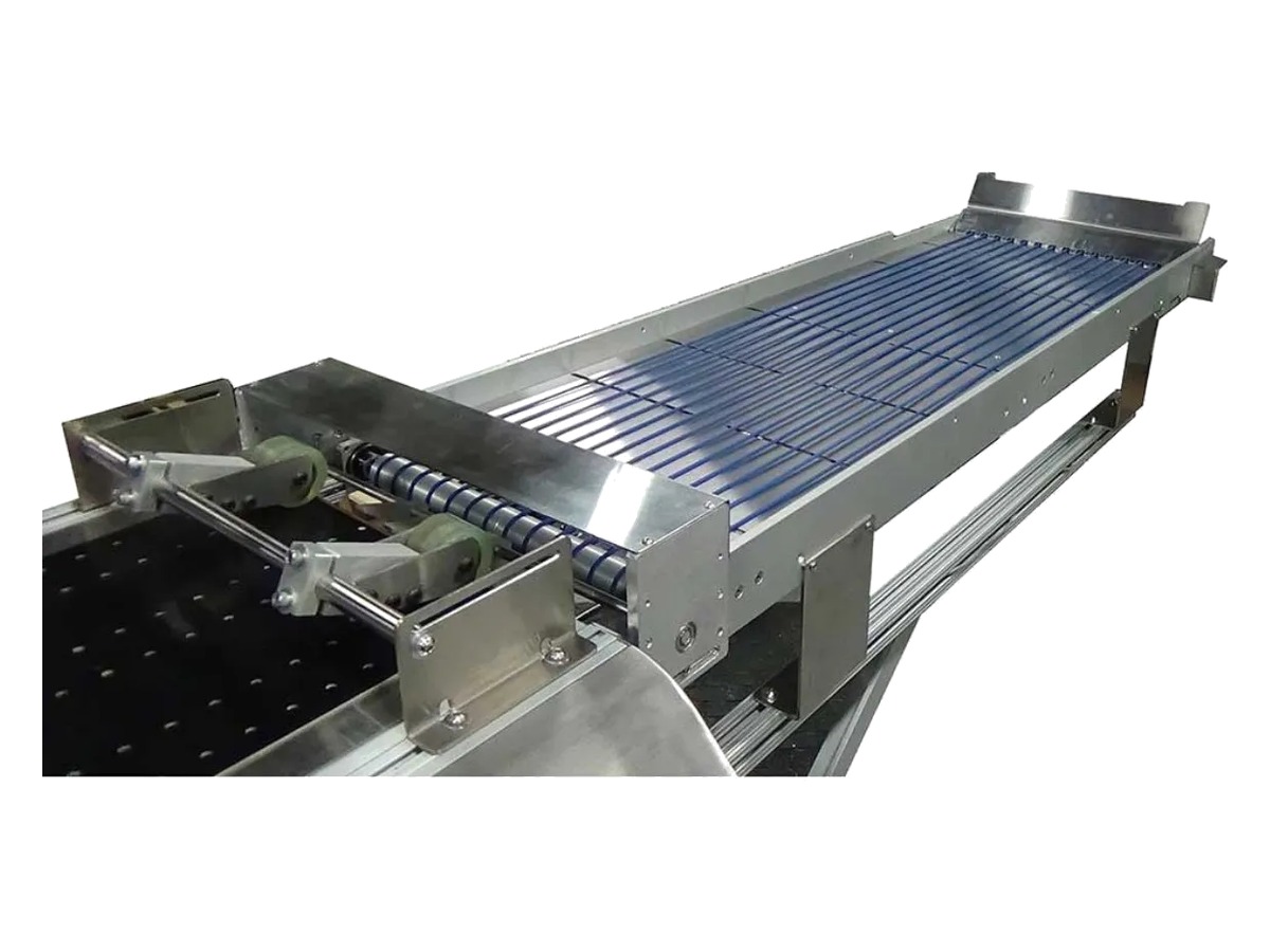 Pineberry conveyor and transport system