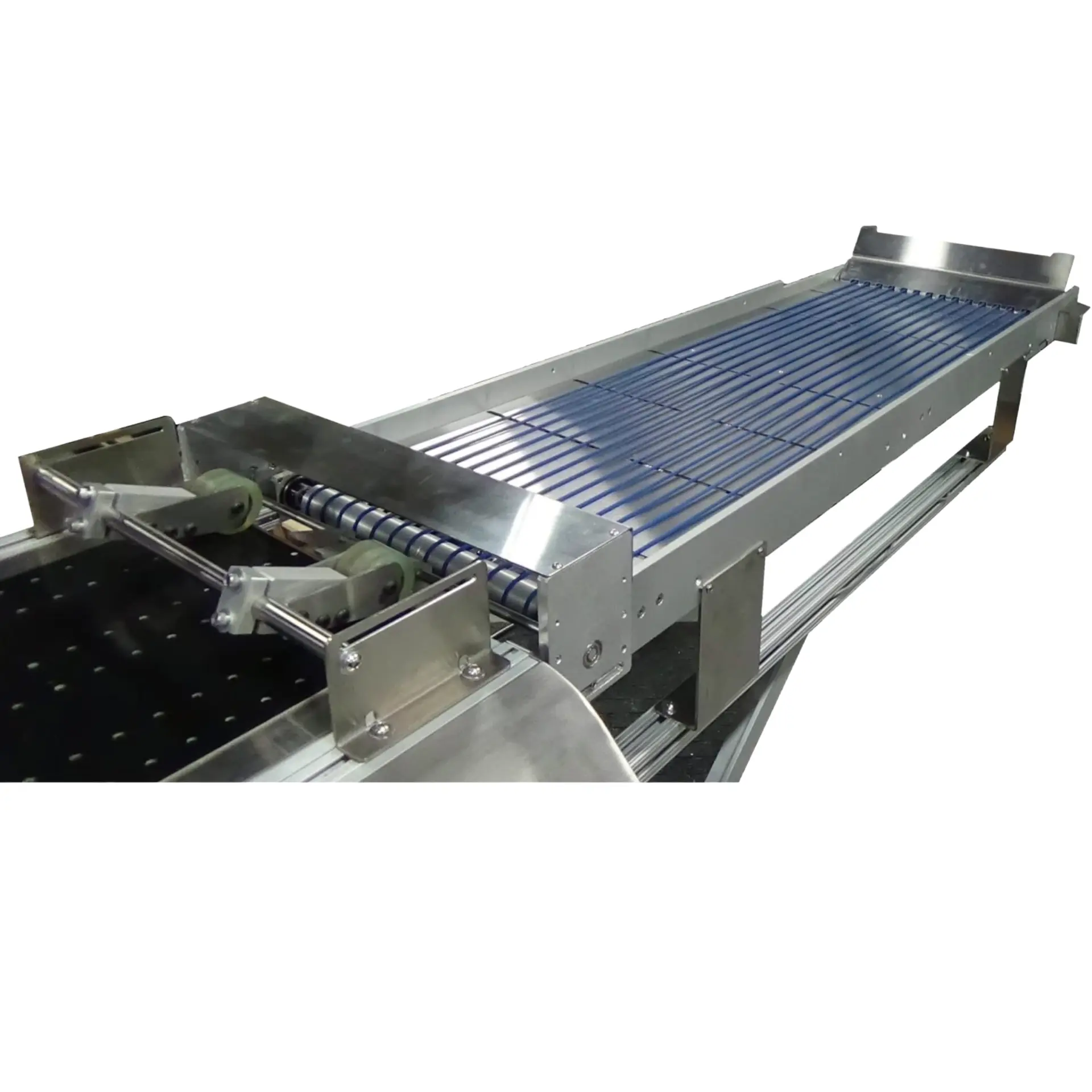 Pineberry stainless steel shingling conveyor with banded belt transport and side guides