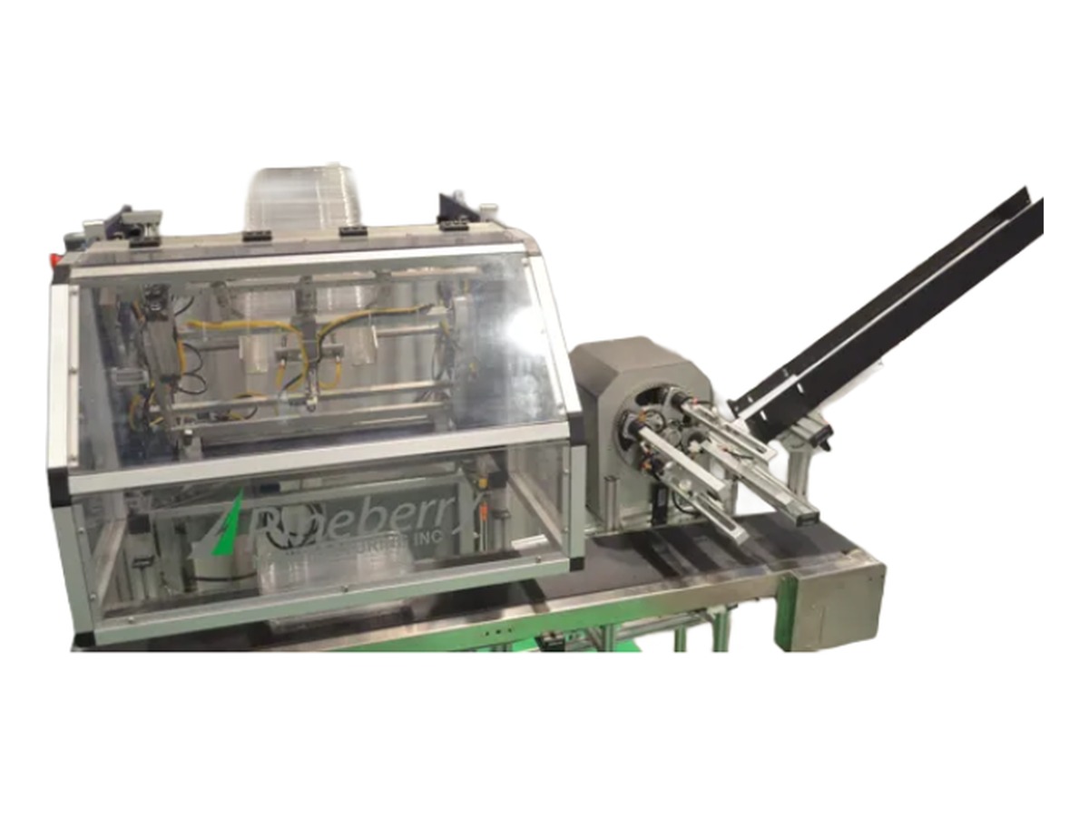 Pineberry rotary pick and place system