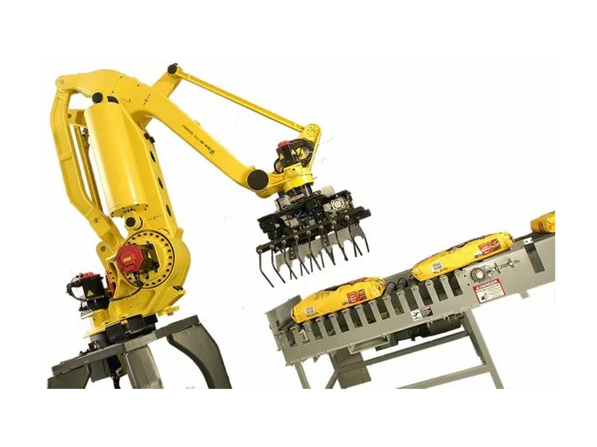 Raumak robotic palletizing system
